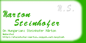 marton steinhofer business card